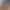 Жасмин