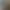 Боди от Жанэль