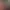 Эля