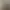 Карина
