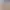 Арука Боди с продолжением