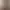888
