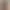 Новенькая Сафия