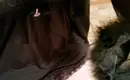 Динара 7