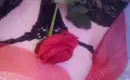Госпожа София 19