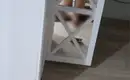 БОДИвЖезказгане 6