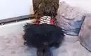 Нежная Леди 16