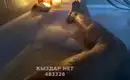 Body Girls Выезд 9