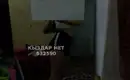 Крисс 1