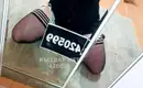 Alexandra 15