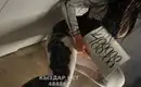 Disaа 2
