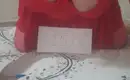 Профи 15